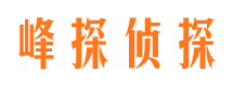 郯城市侦探